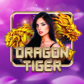 Dragon Tiger live dealer card duel cover